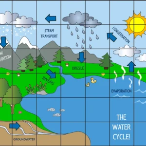 BeeBot The Cycle Of Water